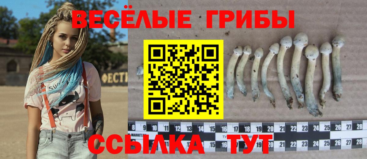 Иваново  Галлюциногенные грибы мицелий  Вход с VPN 